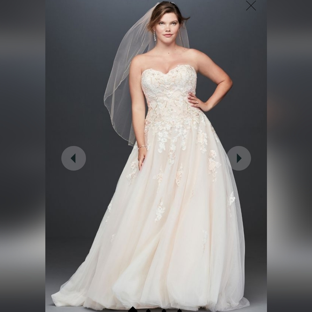 embroidered lace applique ball gown wedding dress size &  oleg cassini veil